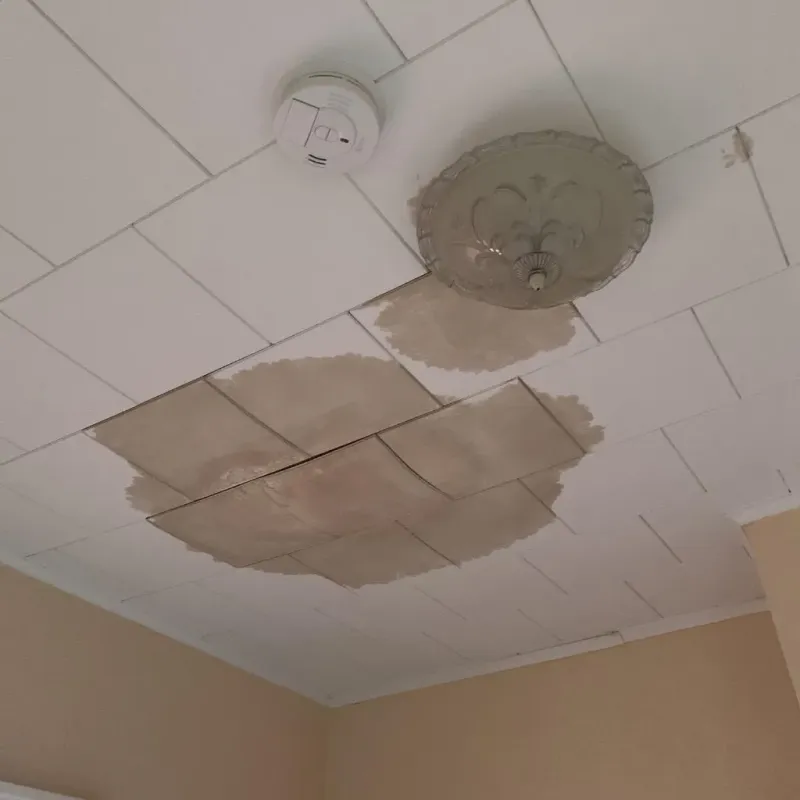 Ceiling Water Damage Repair in Clarkesville, GA