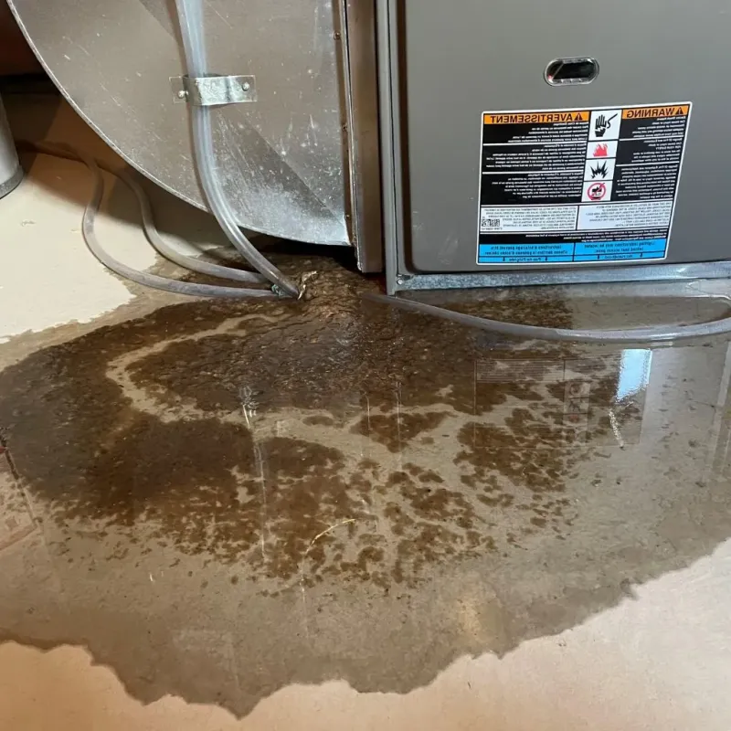 Pipe Burst and Leak Restoration in Clarkesville, GA