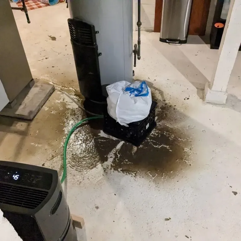 Sewage Backup Cleanup Service in Clarkesville, GA